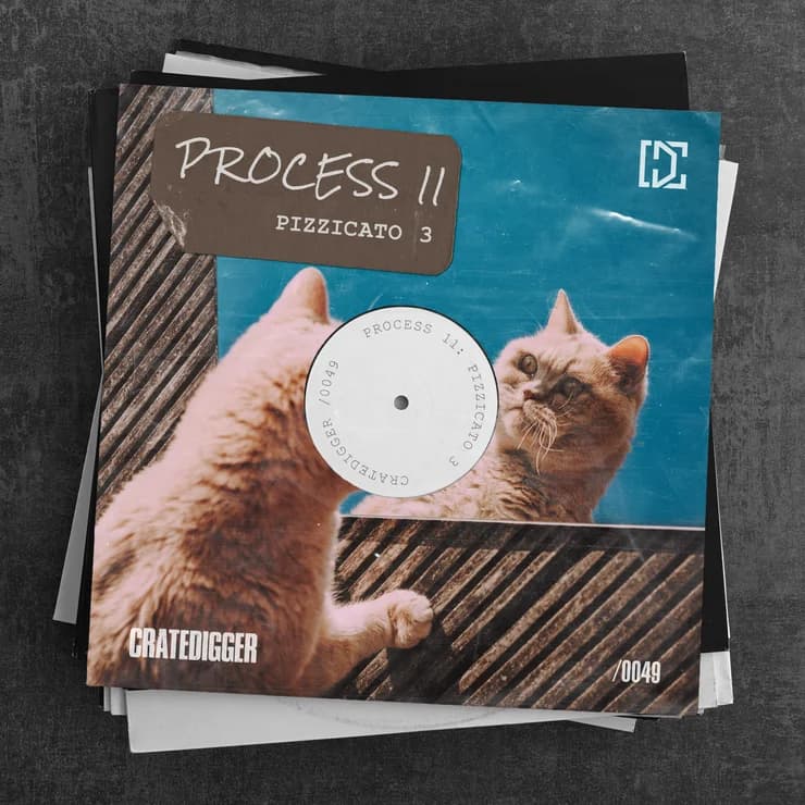 PROCESS 11 拨弦趣意