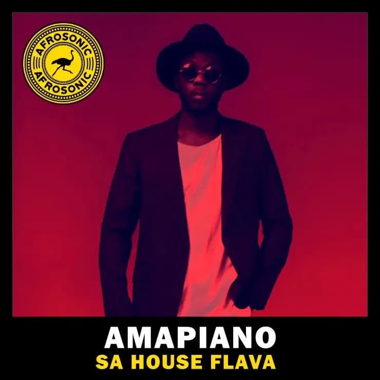 Amapiano - 南非浩室风情