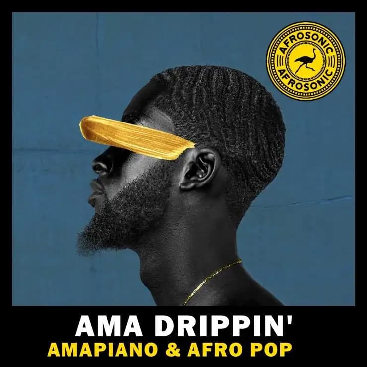 阿玛潮音:Amapiano & Afro Pop