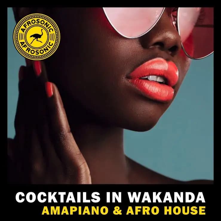瓦坎达鸡尾酒 - Amapiano & Afro House
