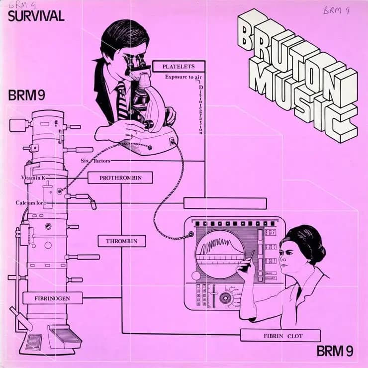 生存 (BRM9)