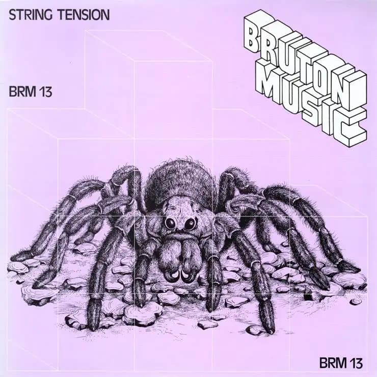 弦之张力 (BRM13)