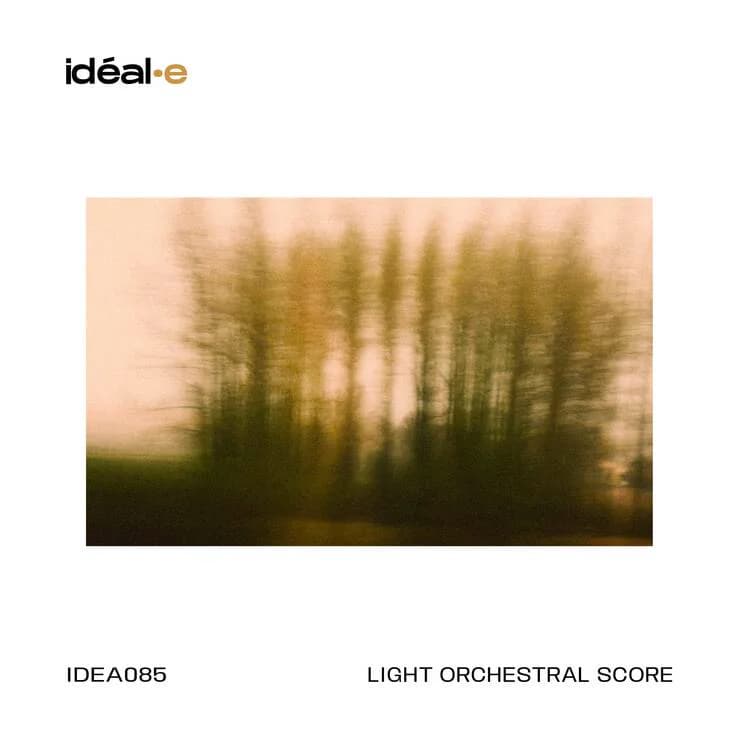 Light Orchestral Score