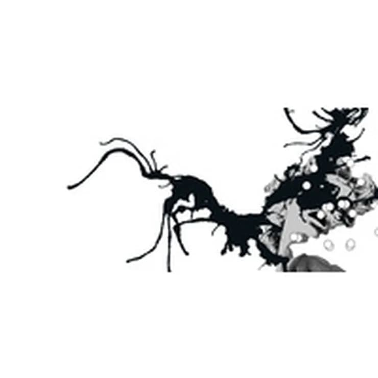 合成欢愉