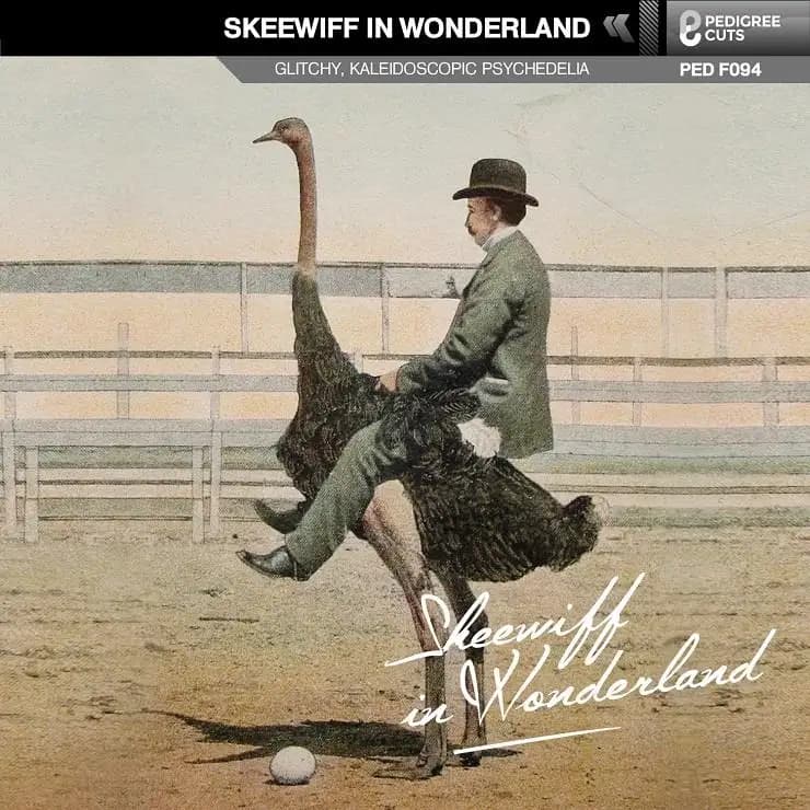 Skeewiff 梦游仙境
