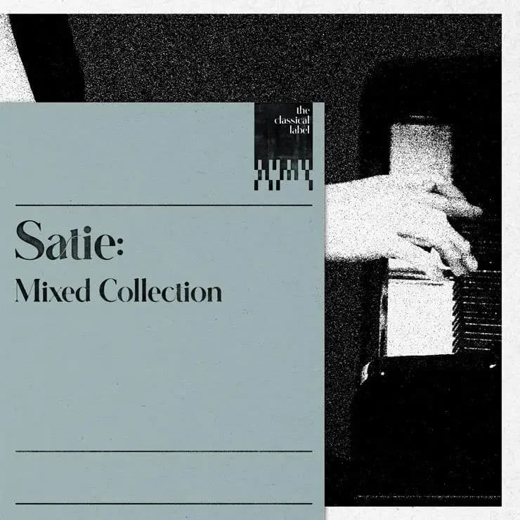 Satie 混合集