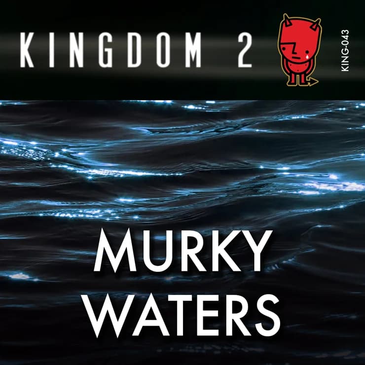 浑水迷局