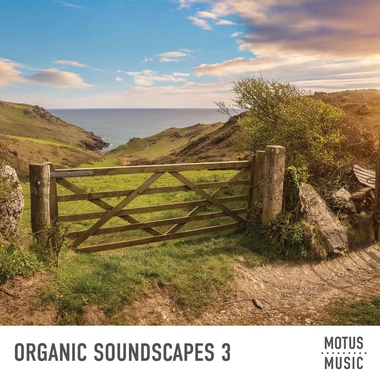 有机声景 3