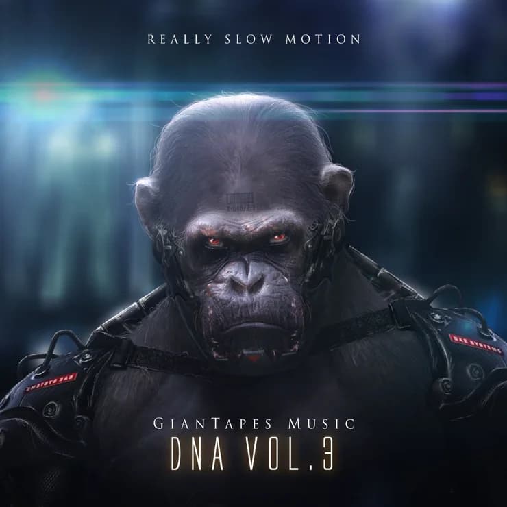 DNA 第三辑