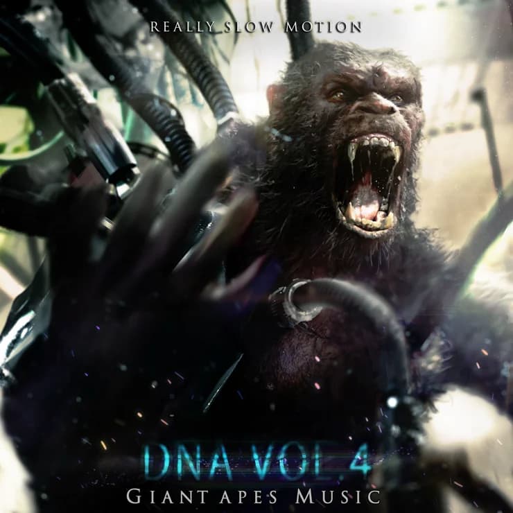 DNA 第四辑