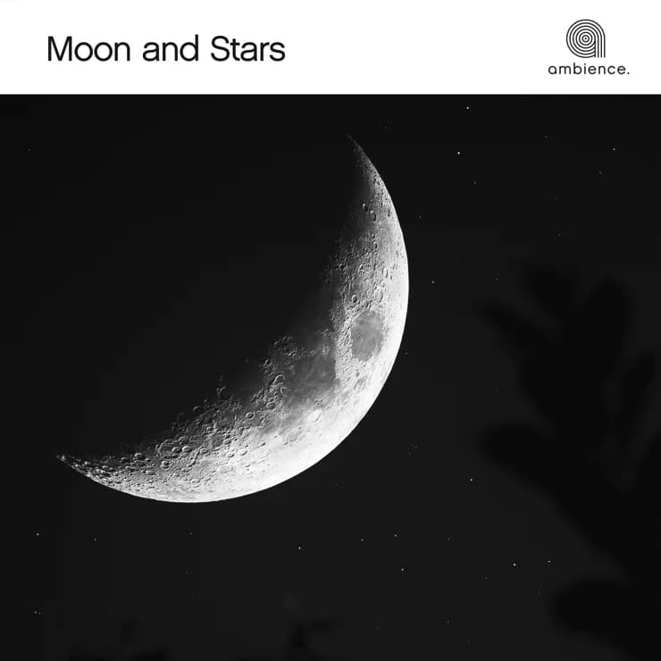 月映星河
