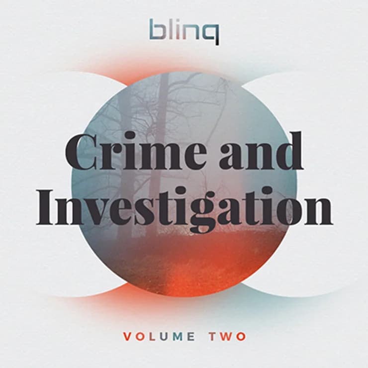 blinq 047 罪案调查 第二辑
