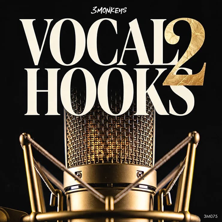 Vocal Hooks 2