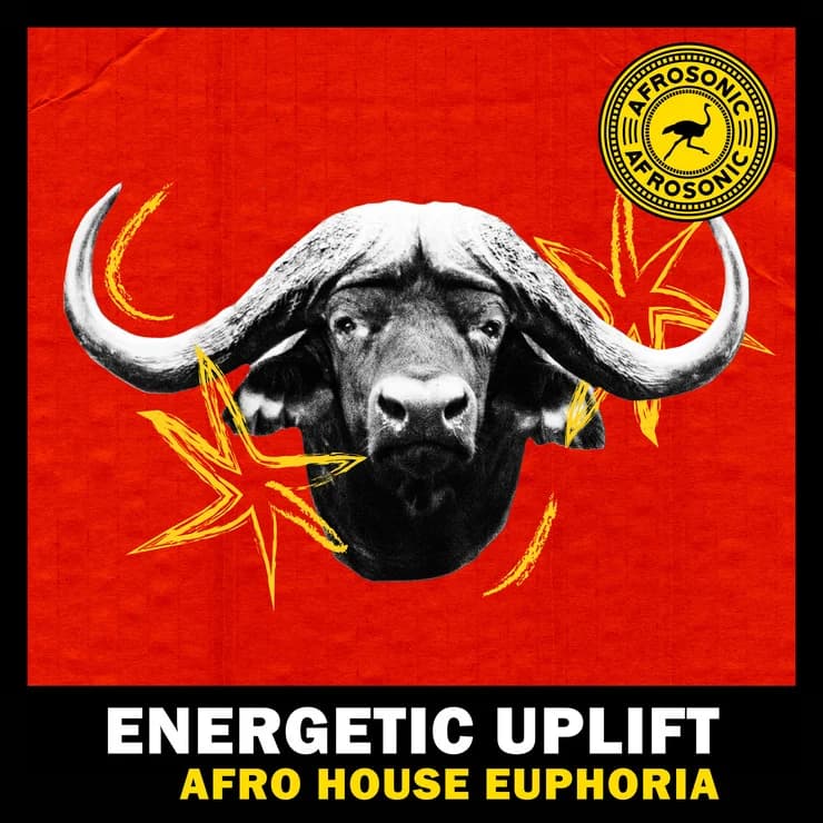 Energetic Uplift - Afro House Euphoria