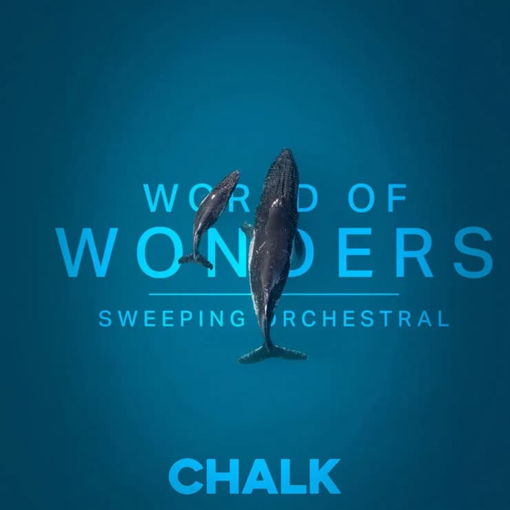 World of Wonders - Sweeping Orchestral