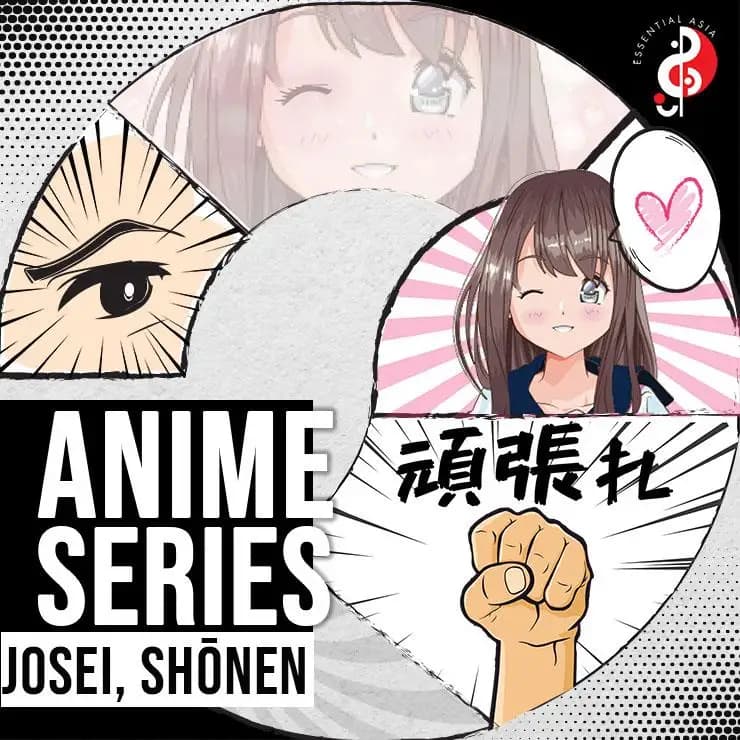 动漫系列:女性向,少年向