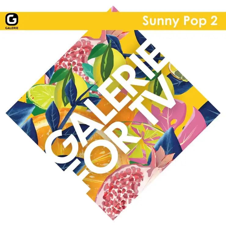 Galerie for TV - 阳光流行 2