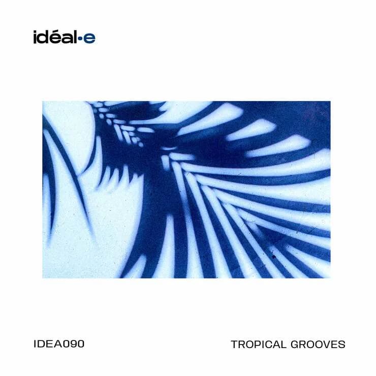 Tropical Grooves