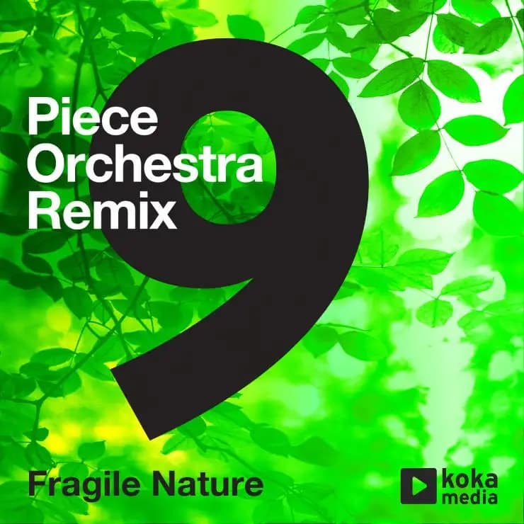 9-Piece Orchestra Remix - 脆弱自然