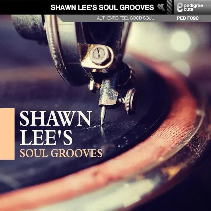 Shawn Lee 灵魂律动